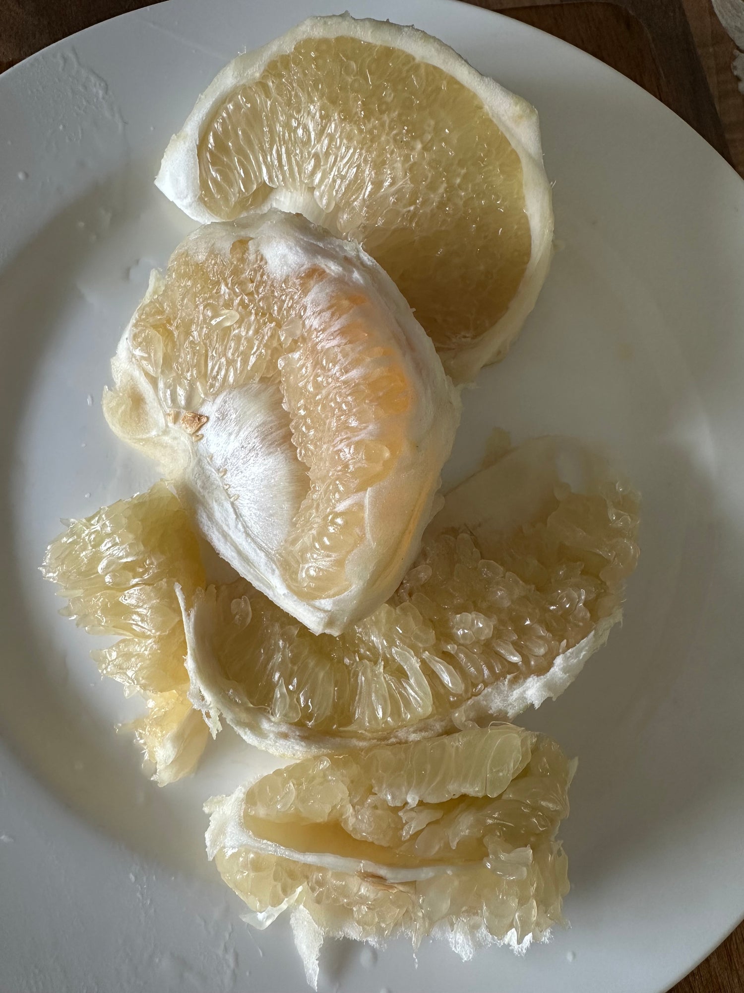 Pomelo - Siamese Sweet flyingdragonnursery