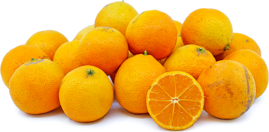 Lime - Rangpur - flyingdragonnursery