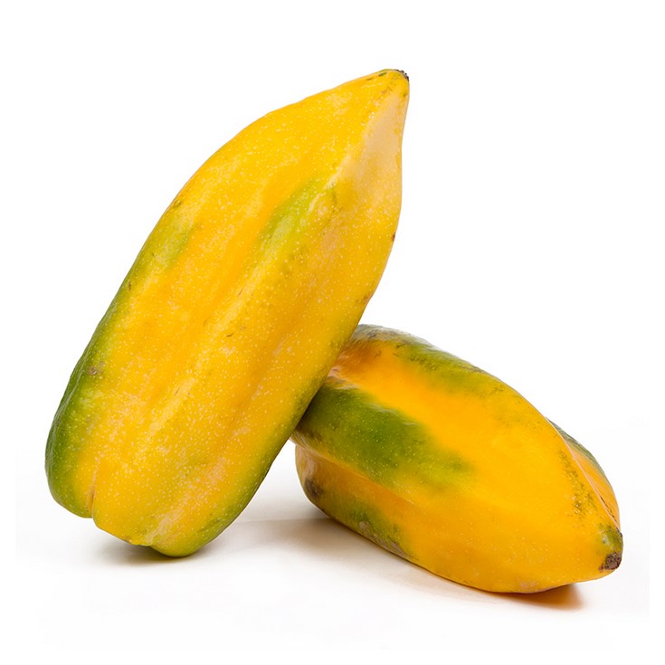 Babaco - Champagne Fruit Plant flyingdragonnursery