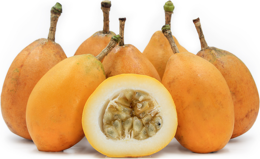 Passionfruit - Sweet Alata flyingdragonnursery
