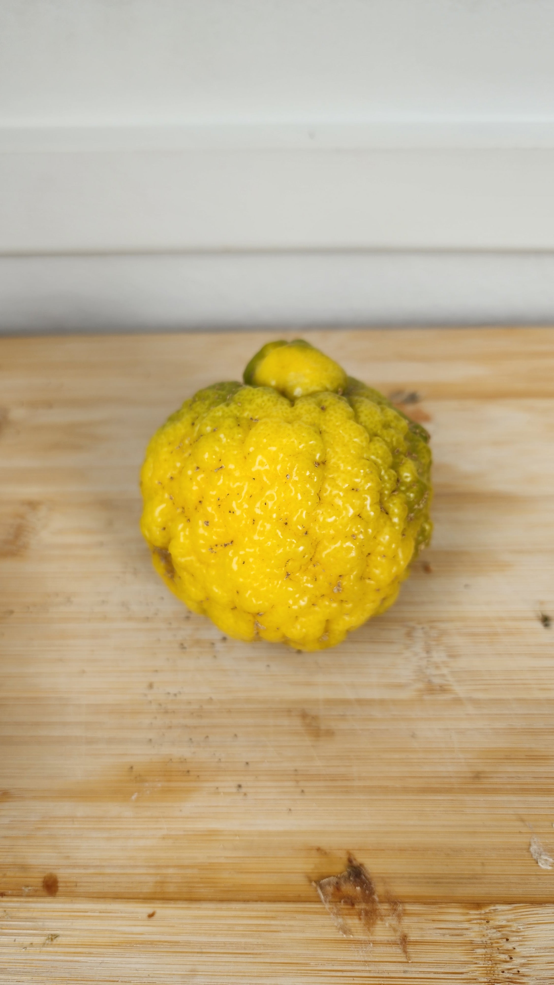 Lemon - Moli Karo (Fijian lemon) flyingdragonnursery