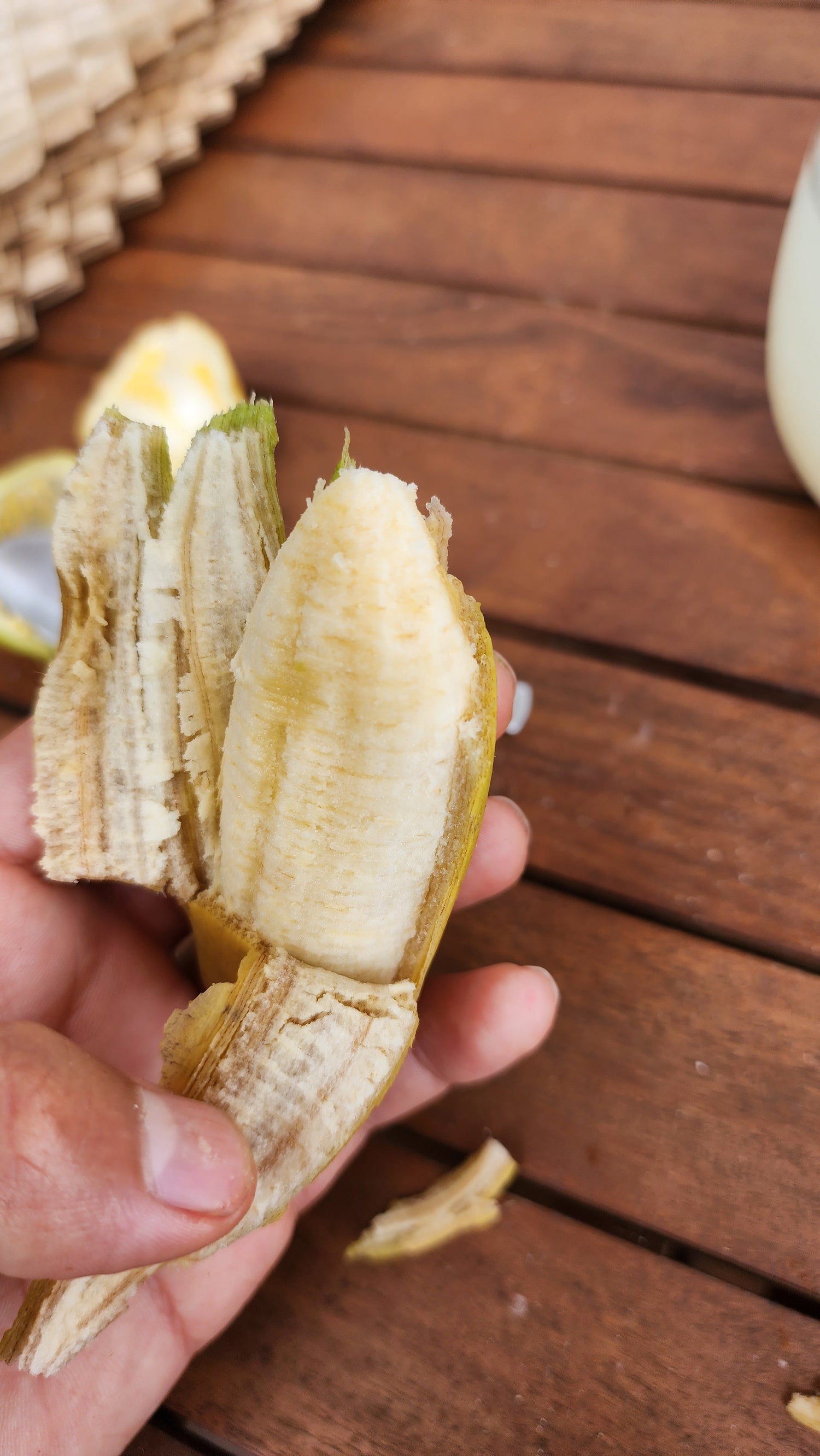 Banana - Super Dwarf Cavendish (Rare) flyingdragonnursery