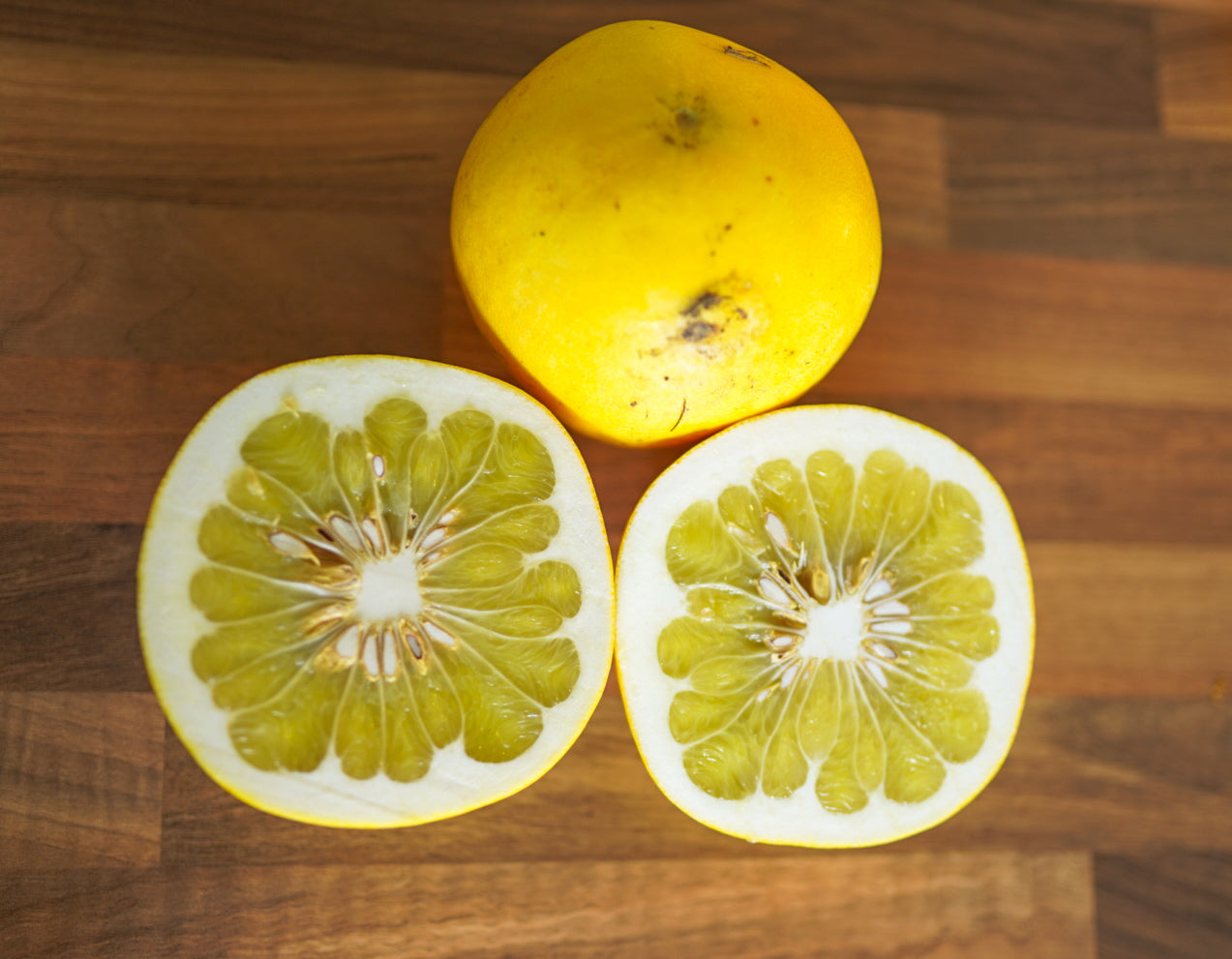 Pomelo - Hawaiian flyingdragonnursery