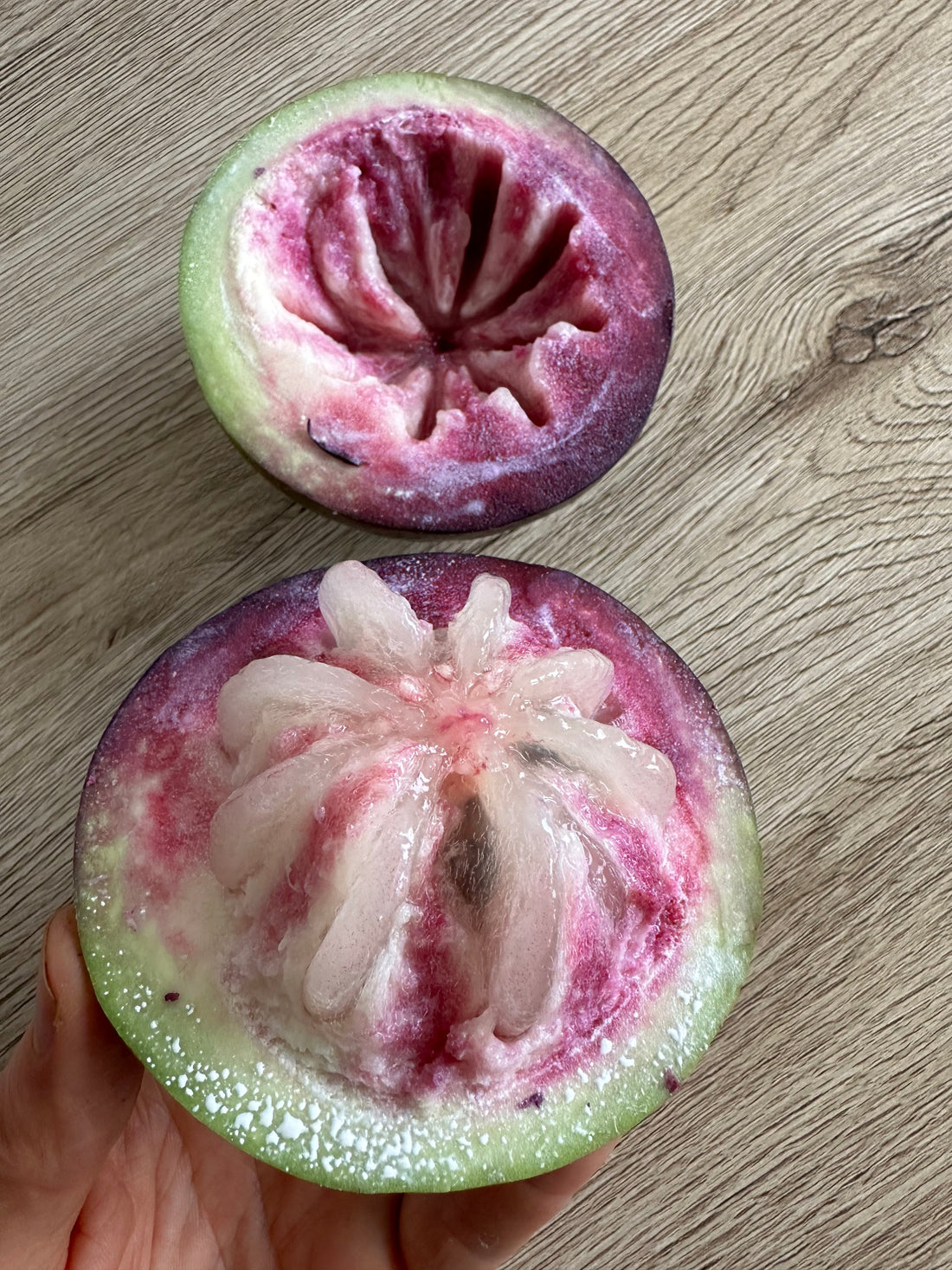 Purple Star Apple flyingdragonnursery