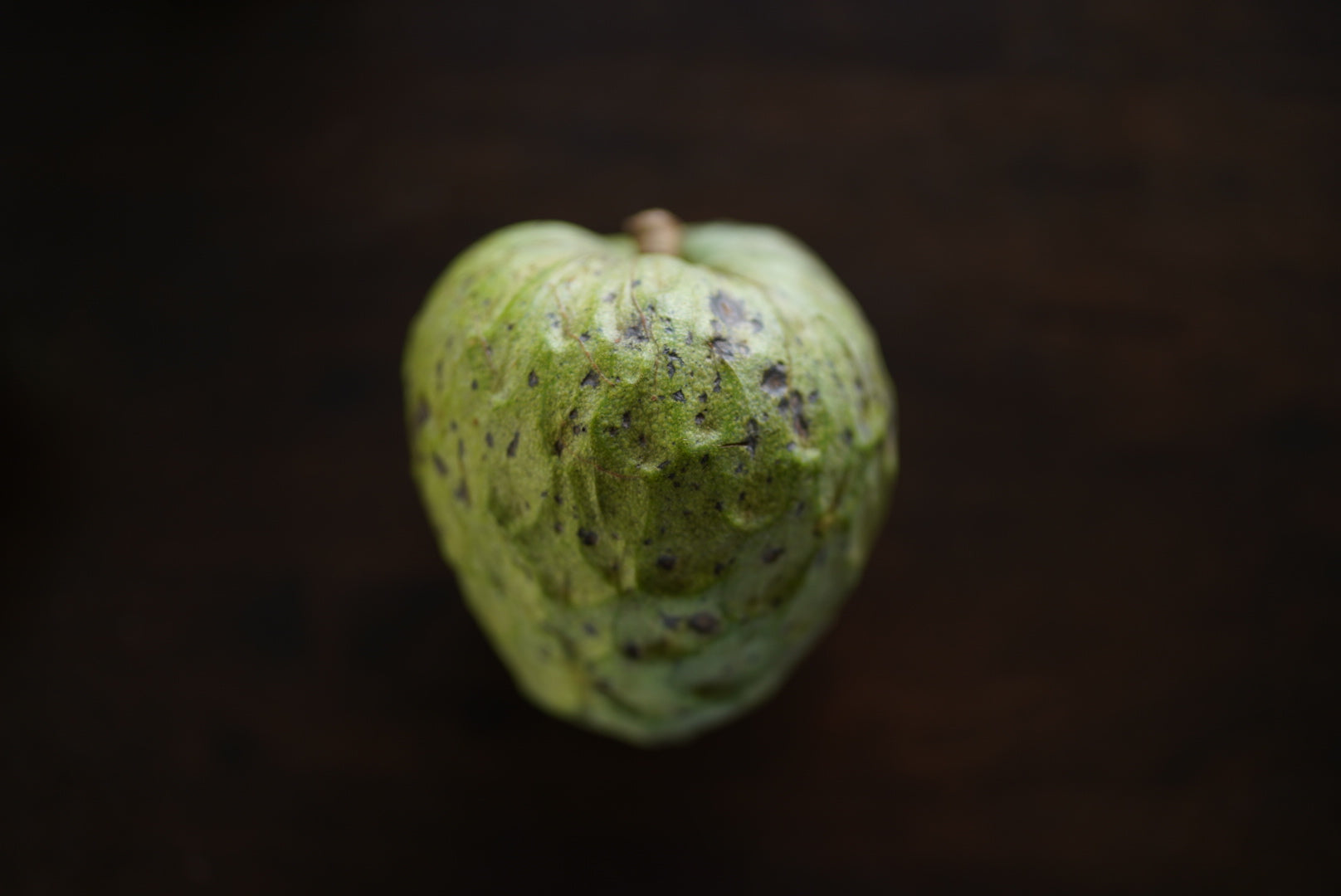 Cherimoya (Custard Apple) - Wookie - Grafted flyingdragonnursery
