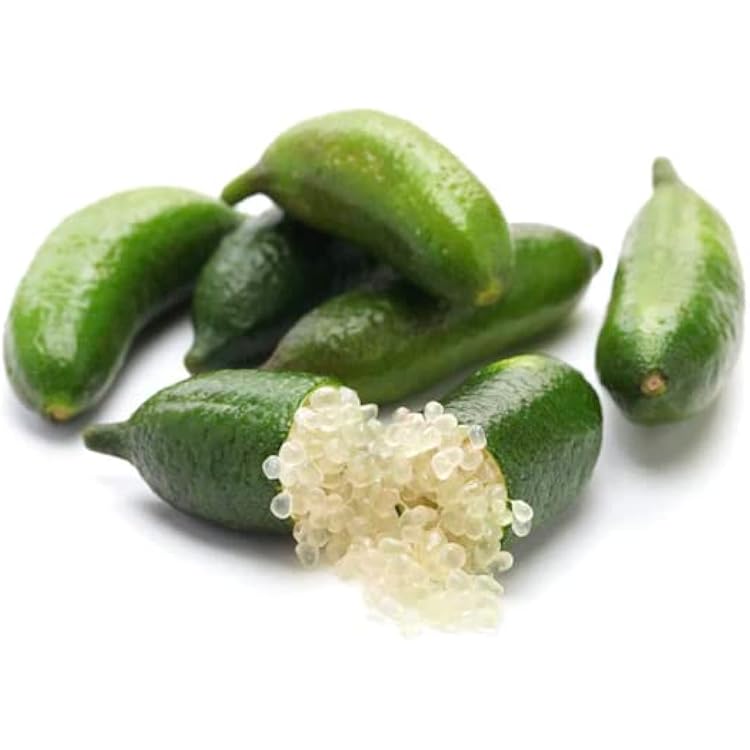 Finger Lime - Green - Mini leaf - Grafted flyingdragonnursery