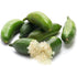 Finger Lime - Green - Mini leaf - Grafted flyingdragonnursery