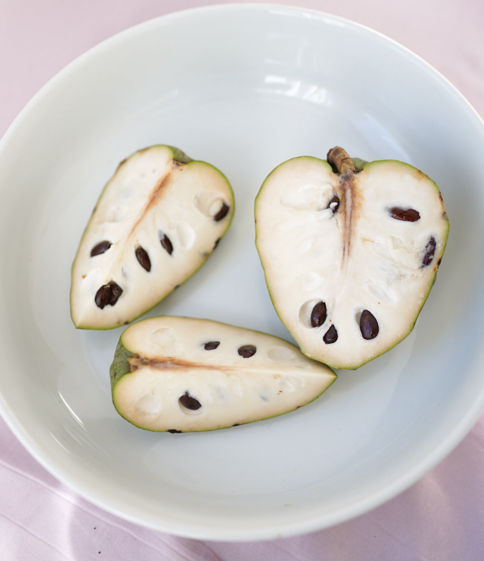 Cherimoya (Custard Apple) - Perla - Grafted flyingdragonnursery