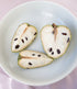 Cherimoya (Custard Apple) - Perla - Grafted flyingdragonnursery