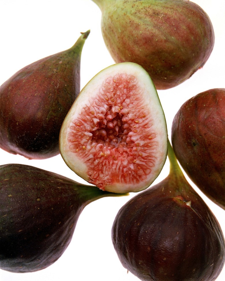 Fig - French Sugar
