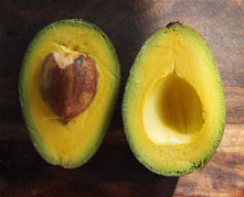Avocado - Fujikawa - Summer, autumn and winter ripening flyingdragonnursery