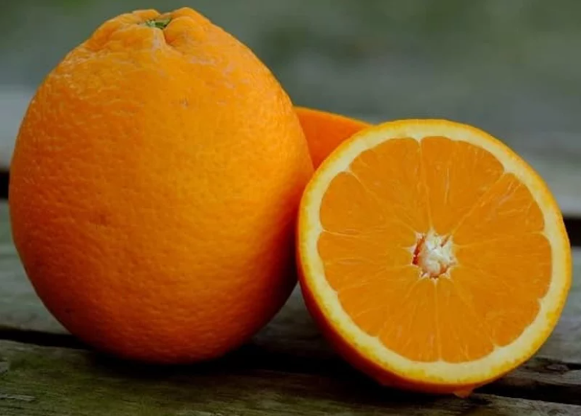 Orange - Xian Feng Cheng flyingdragonnursery