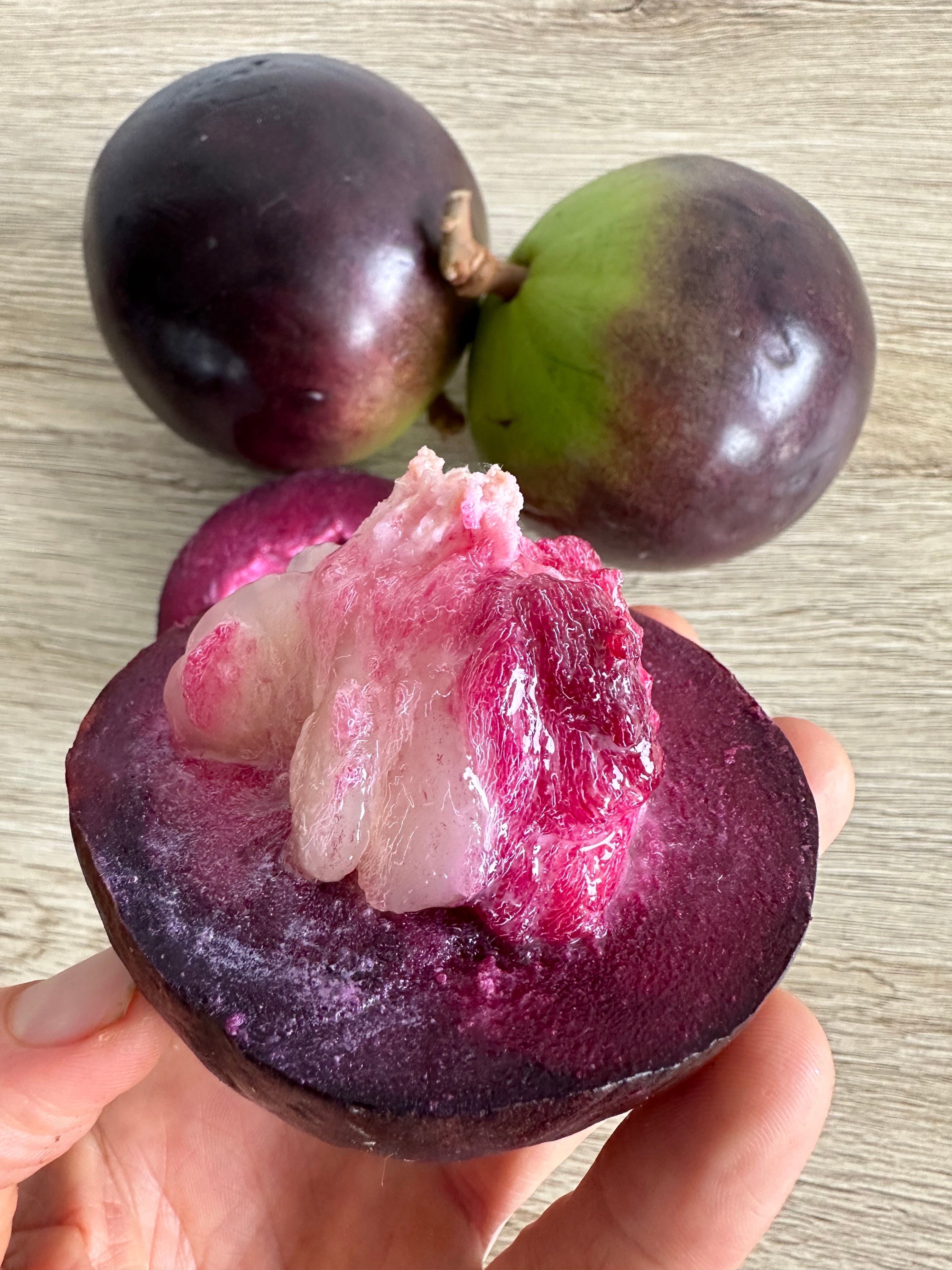 Purple Star Apple flyingdragonnursery