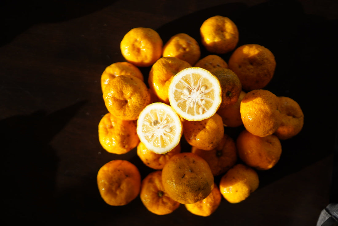 Yuzu flyingdragonnursery