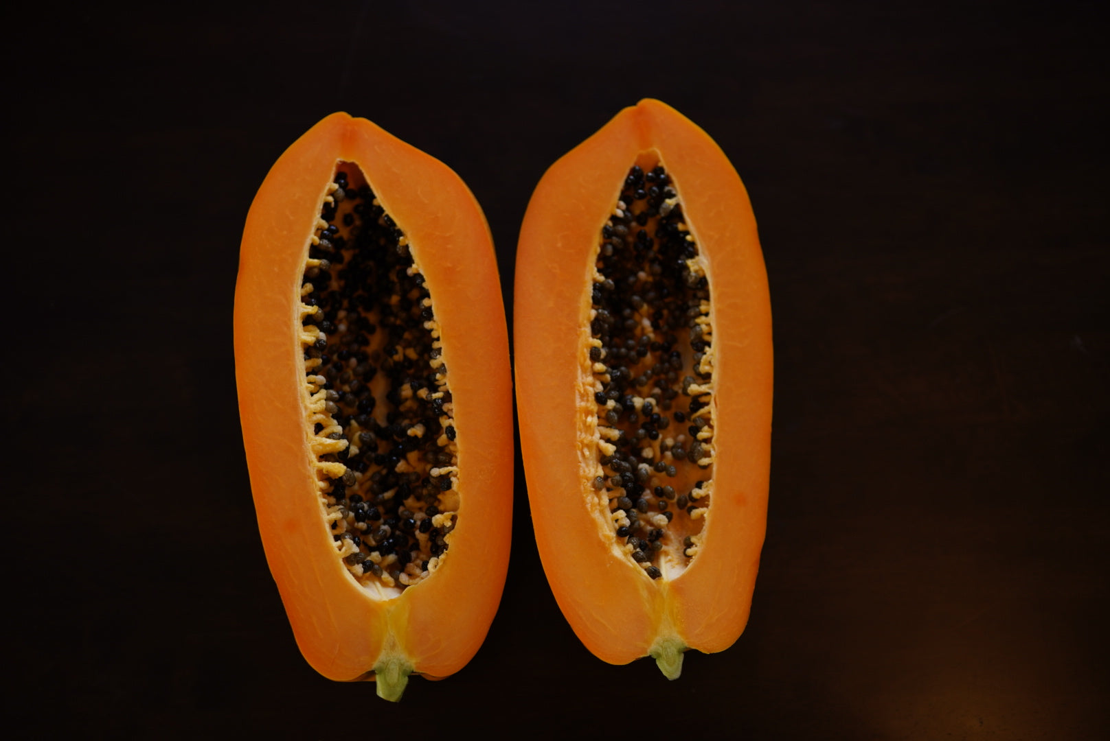 Papaya - Red Lady dwarf flyingdragonnursery