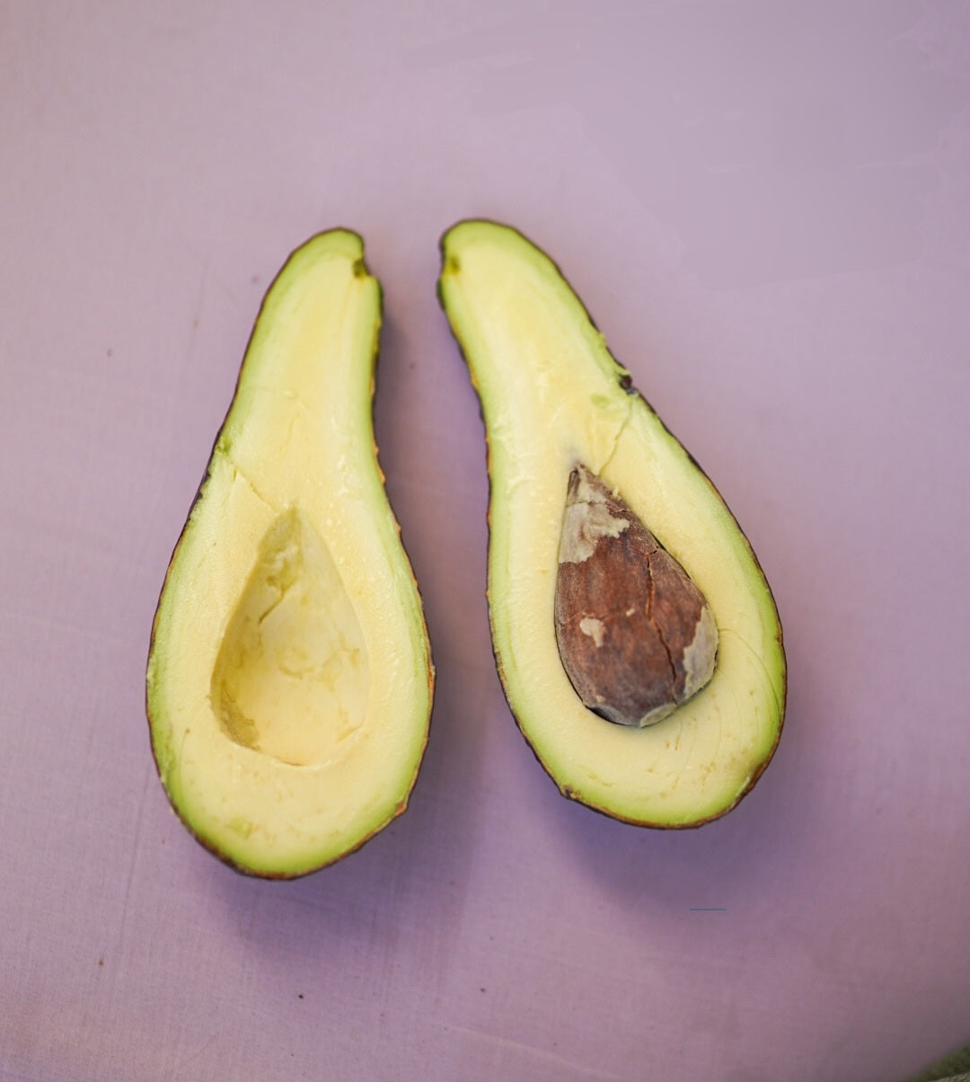Avocado - Ruakaka - Spring ripening flyingdragonnursery