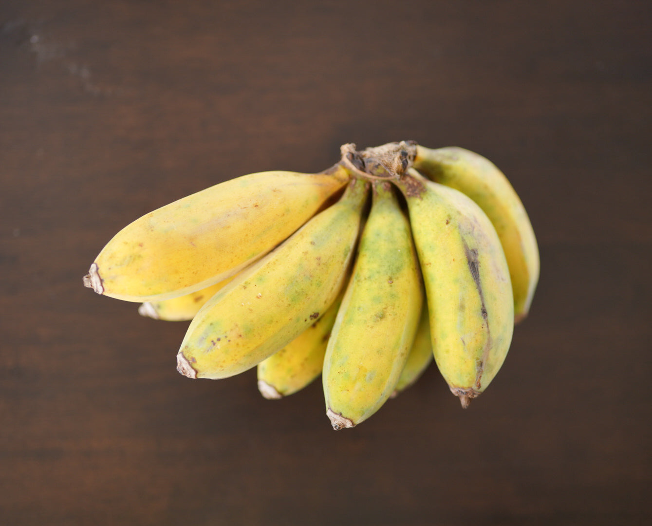 Banana - Misi Luki flyingdragonnursery