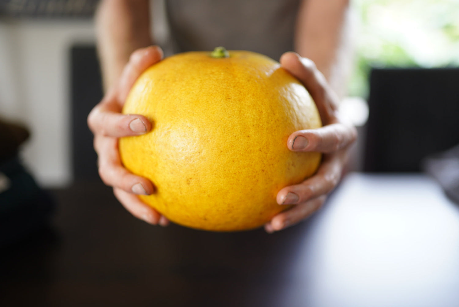 Siamise sweet flyingdragonnursery