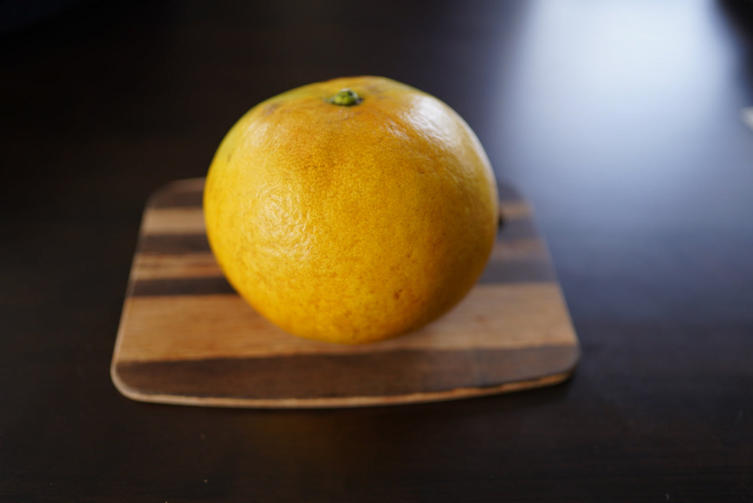 Siamise sweet flyingdragonnursery