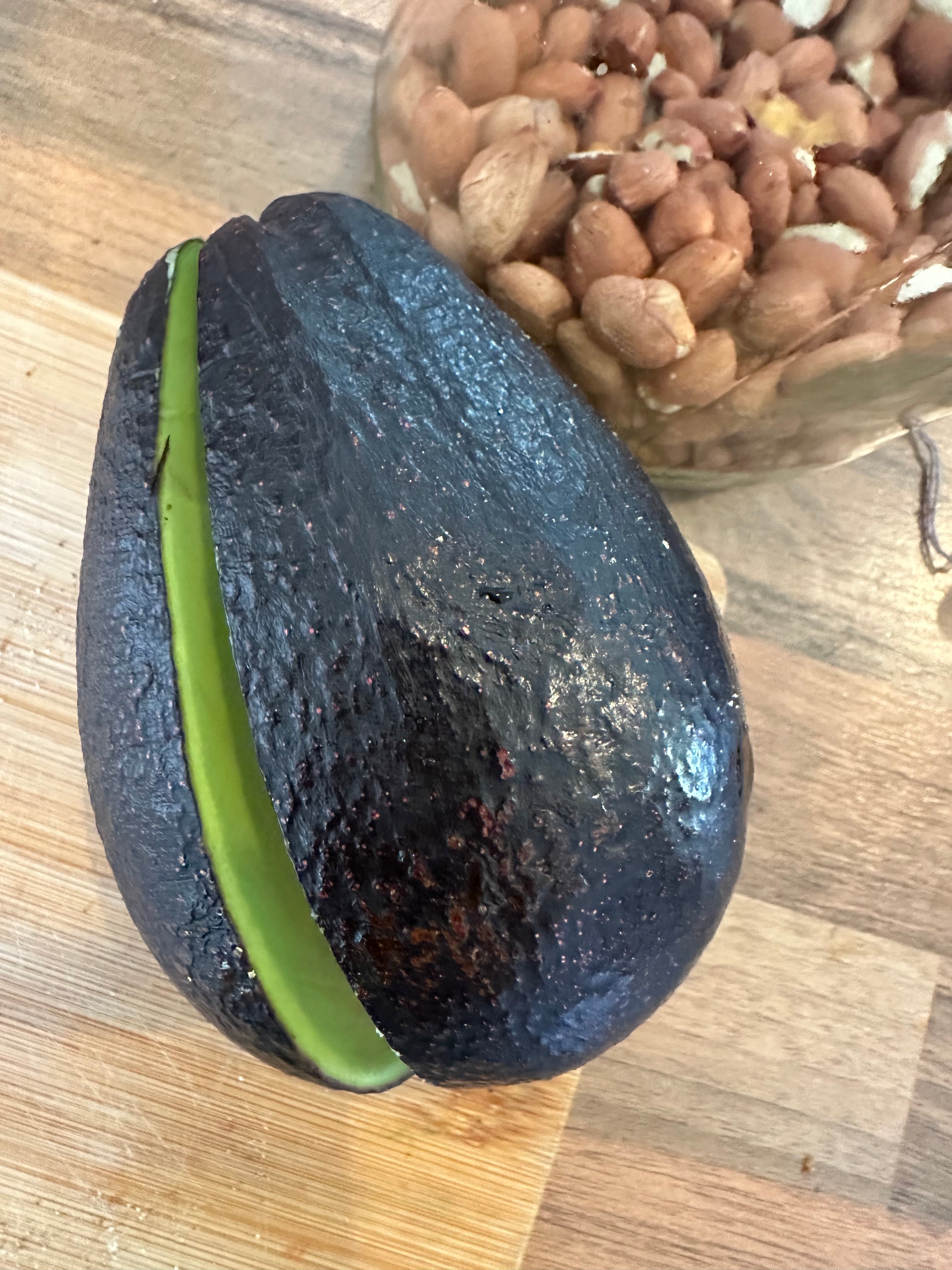 Avocado - Mexicola Grande - Cold hardy - Winter-Spring Ripening flyingdragonnursery