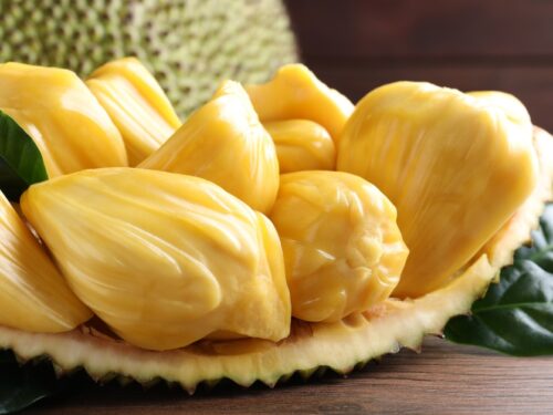 Jackfruit flyingdragonnursery