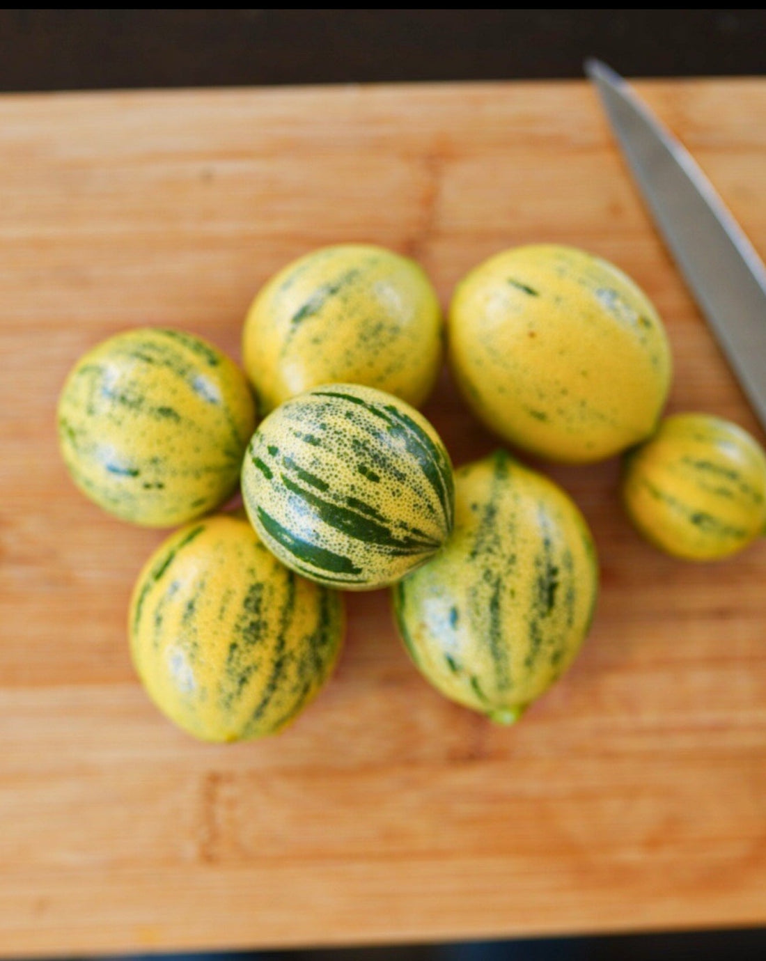 Lemon - Rainbow Meyer flyingdragonnursery