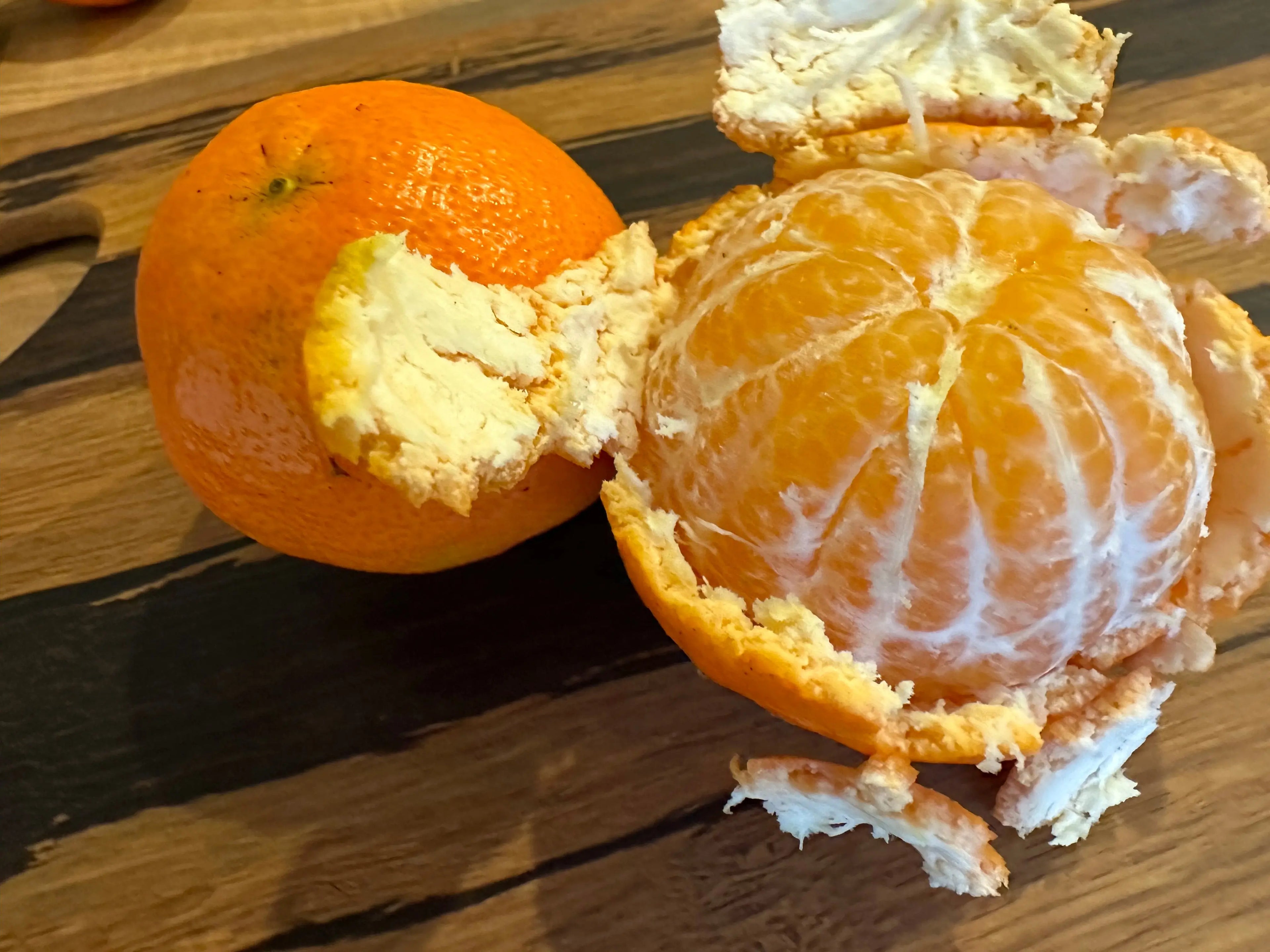 Mandarin - Bay Zest - flyingdragonnursery