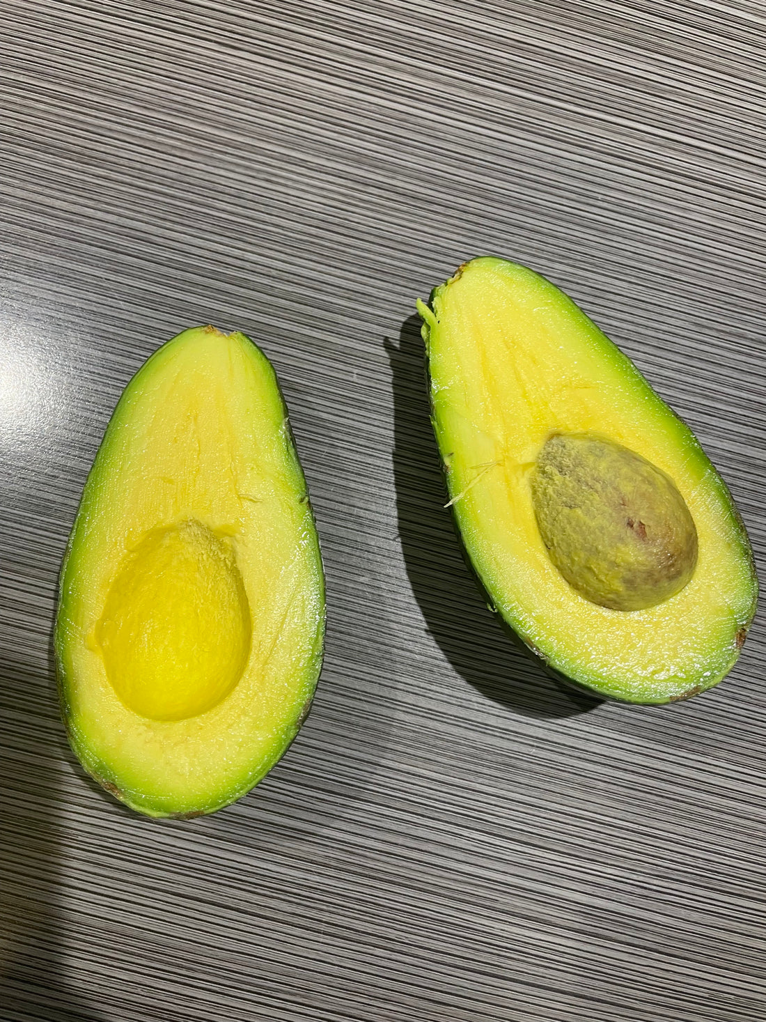 Avocado - Sharwil - flyingdragonnursery