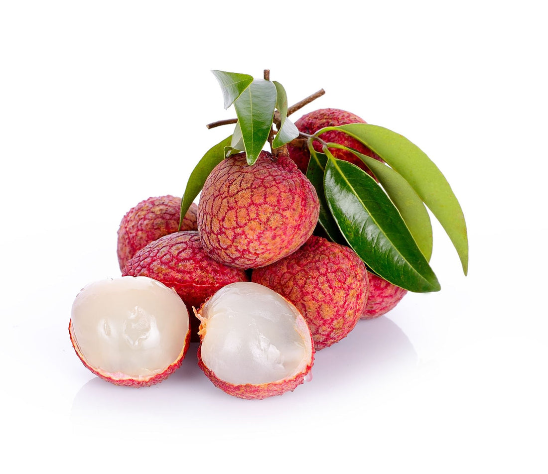 Lychee plant - Marcotted flyingdragonnursery