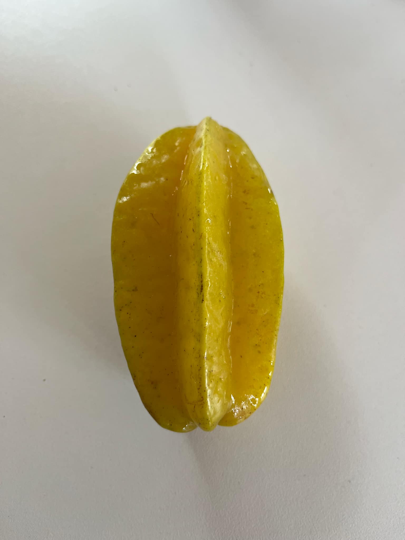 Carambola Starfruit - Sara - Grafted flyingdragonnursery