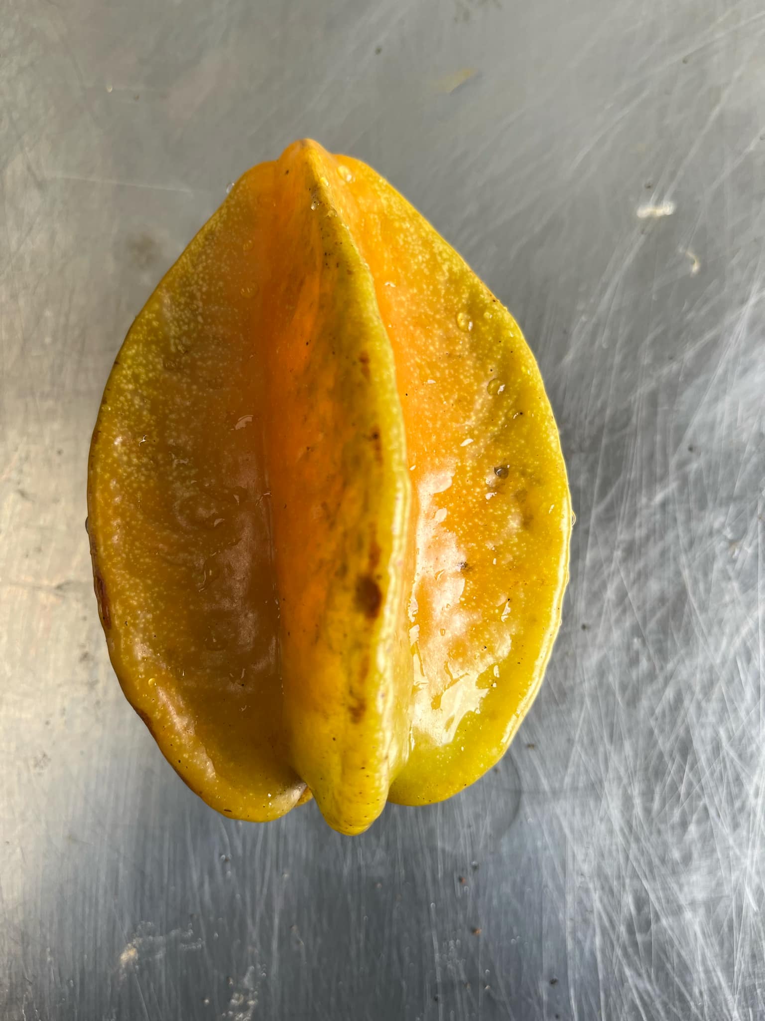 Carambola Starfruit - Aotearoa Gold - Grafted flyingdragonnursery