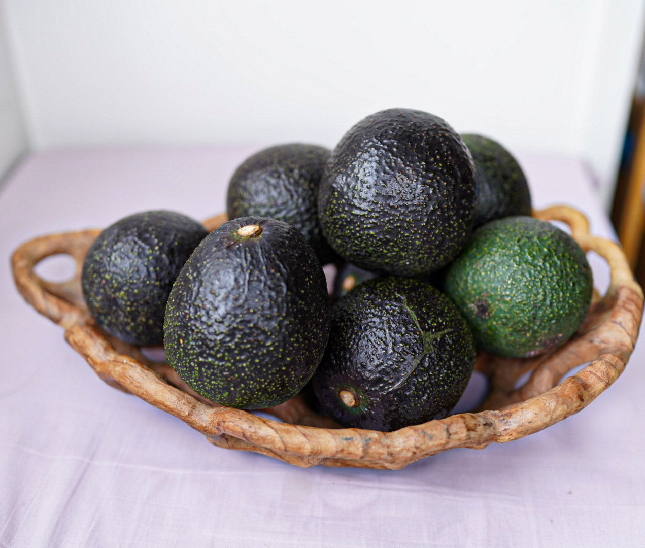Avocado - McEldowney - Autumn ripening flyingdragonnursery