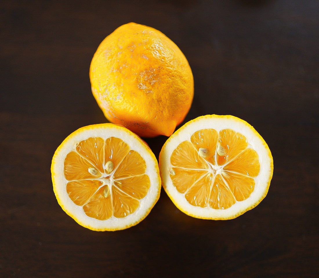 Lemon - Meyer flyingdragonnursery