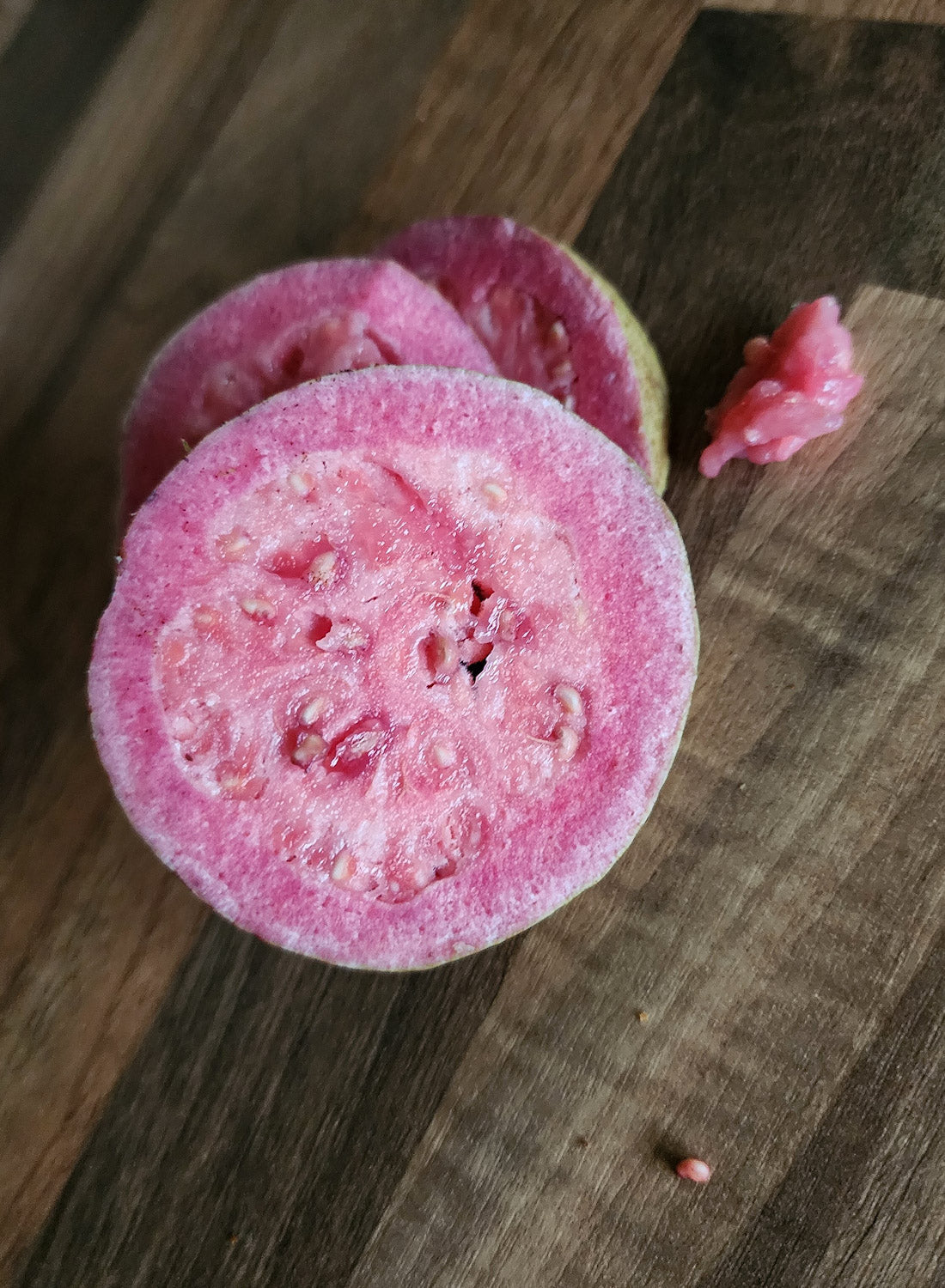 Guava - Purple Malay flyingdragonnursery