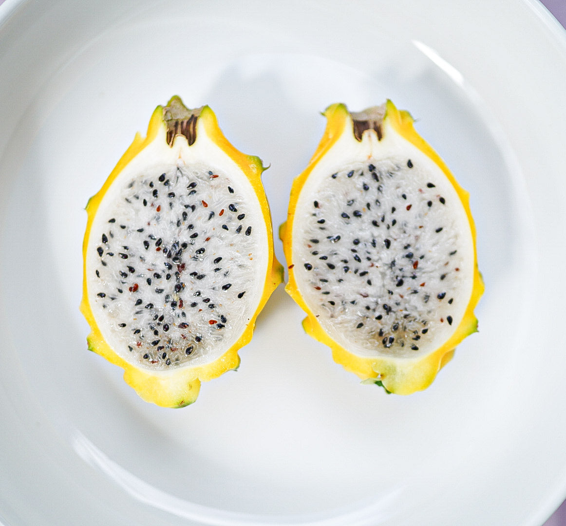 Dragonfruit Yellow (Palora) - Rooted in a pot