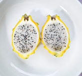 Dragonfruit Yellow (Palora) - Rooted in a pot flyingdragonnursery