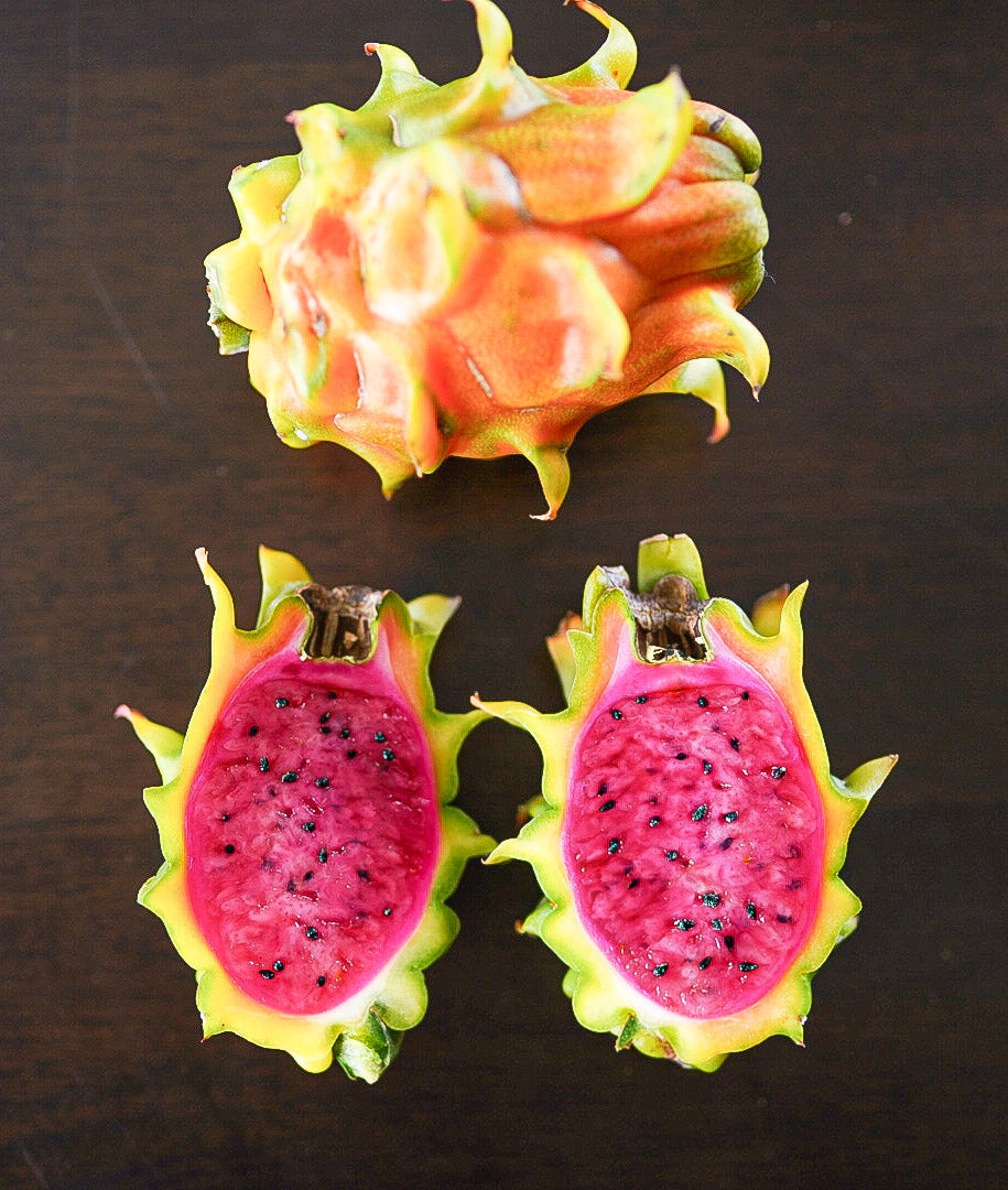 Dragonfruit - Frankie’s Red (Orange Dwarf) flyingdragonnursery