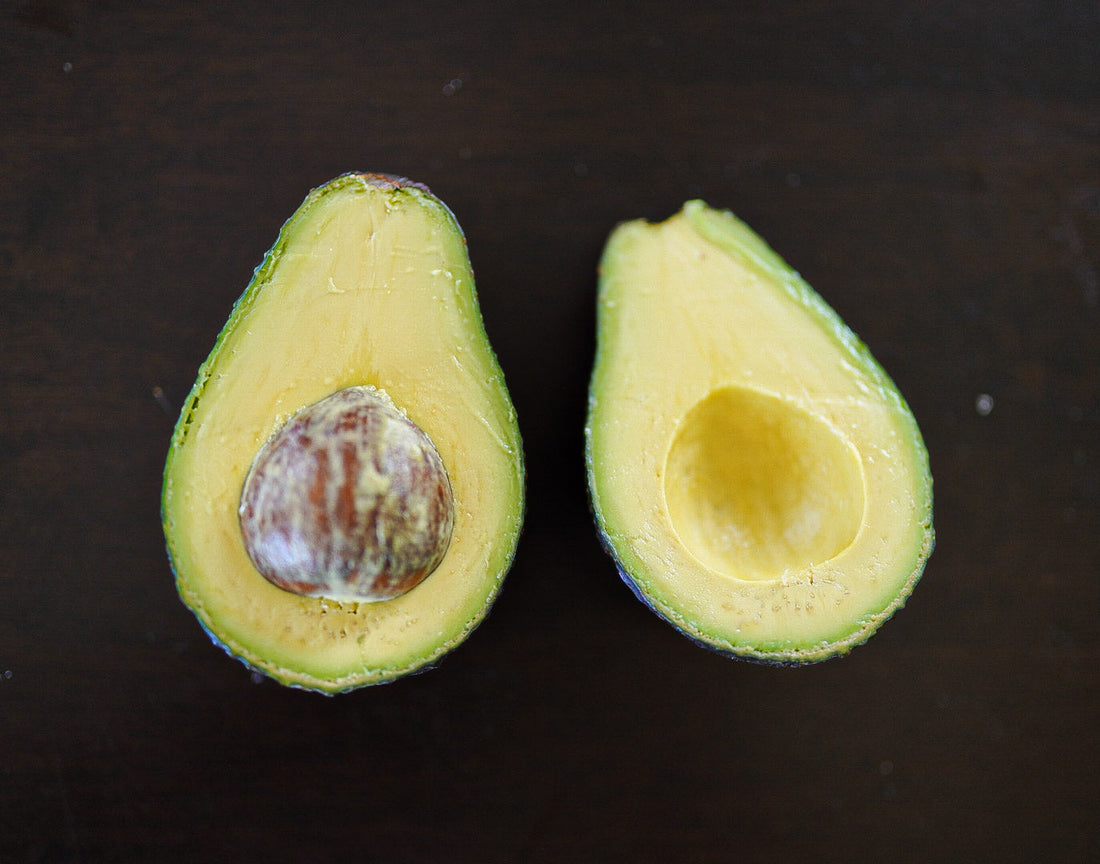 Avocado - Noel - Cold and wind tolerant - Spring/summer/early autumn ripening flyingdragonnursery