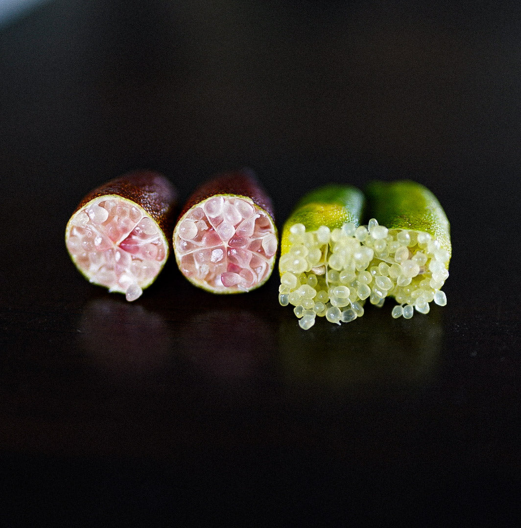 Finger Lime - Double Graft Brown/Green flyingdragonnursery