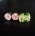 Finger Lime - Double Graft Brown/Green flyingdragonnursery