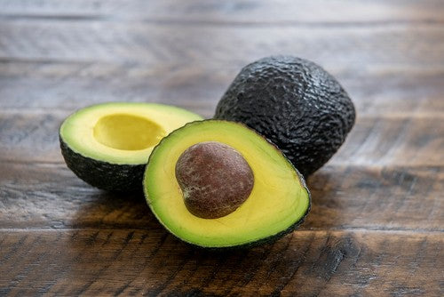 Avocado - Hayes - Spring Ripening flyingdragonnursery