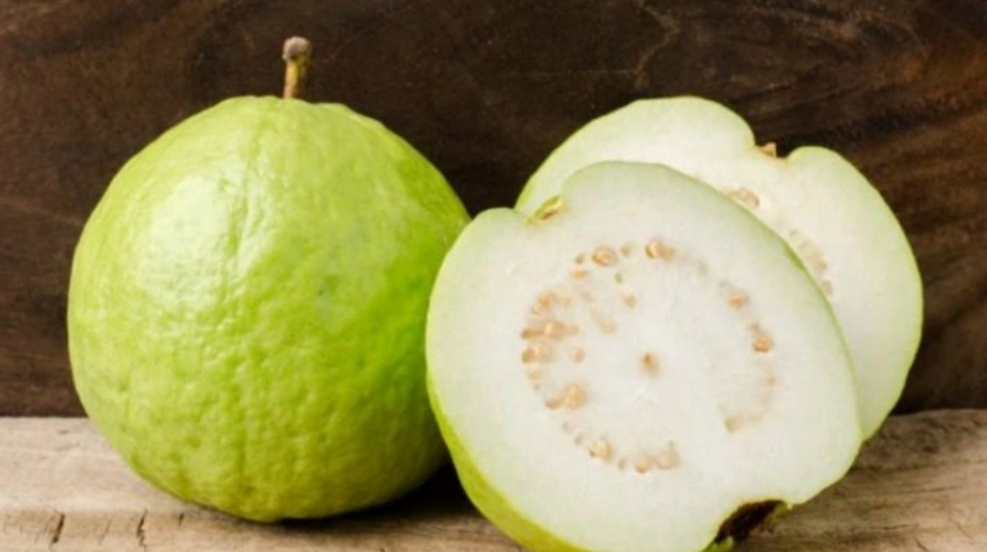 Tropical Guava - Indian white flyingdragonnursery