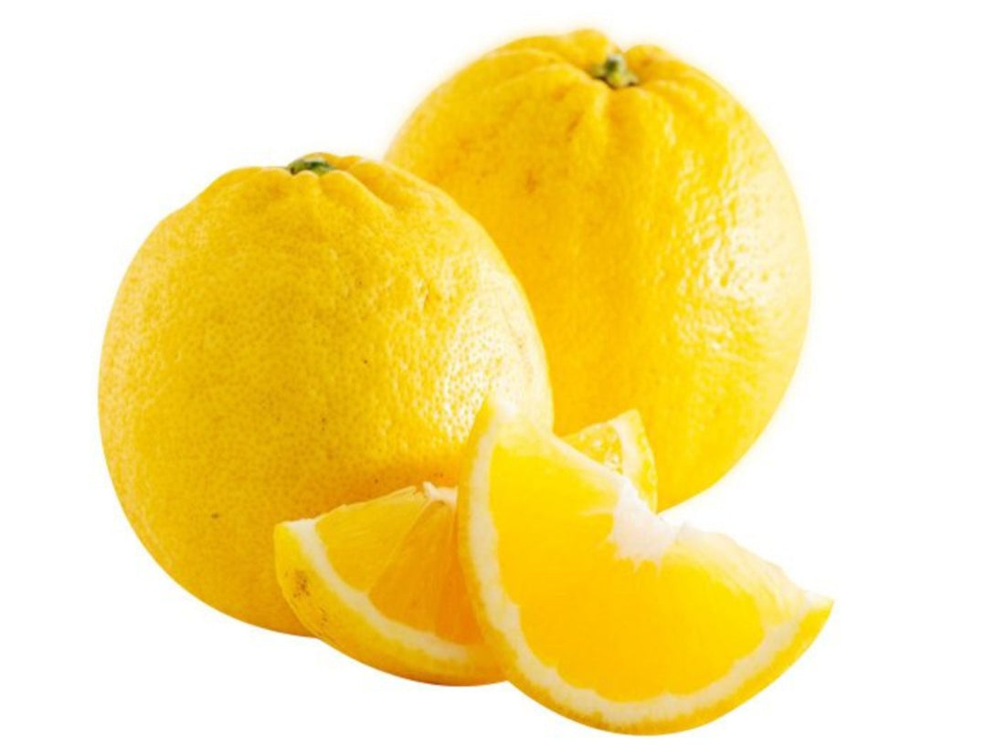 Lemonade flyingdragonnursery