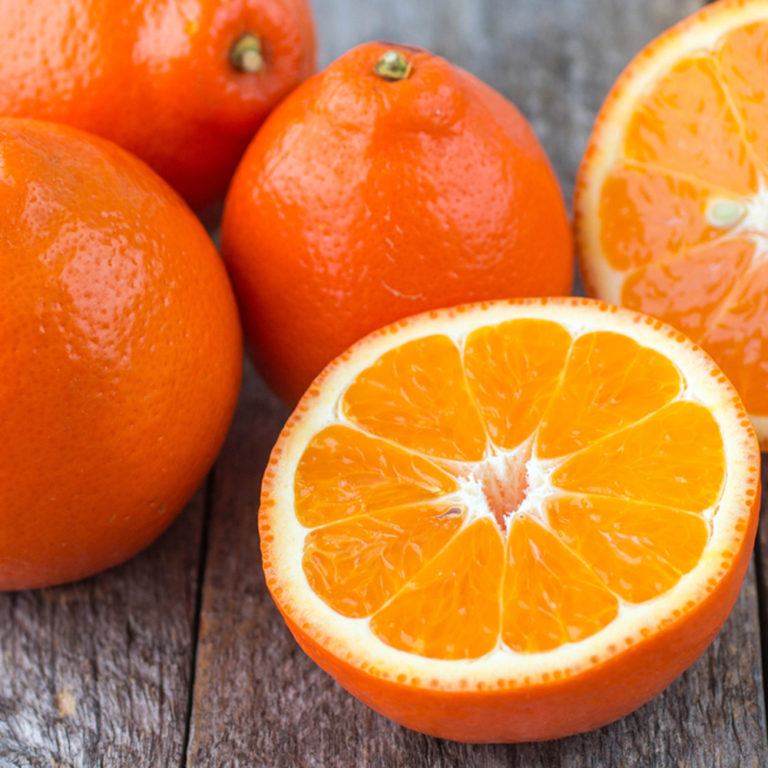 Tangelo - Seminole flyingdragonnursery