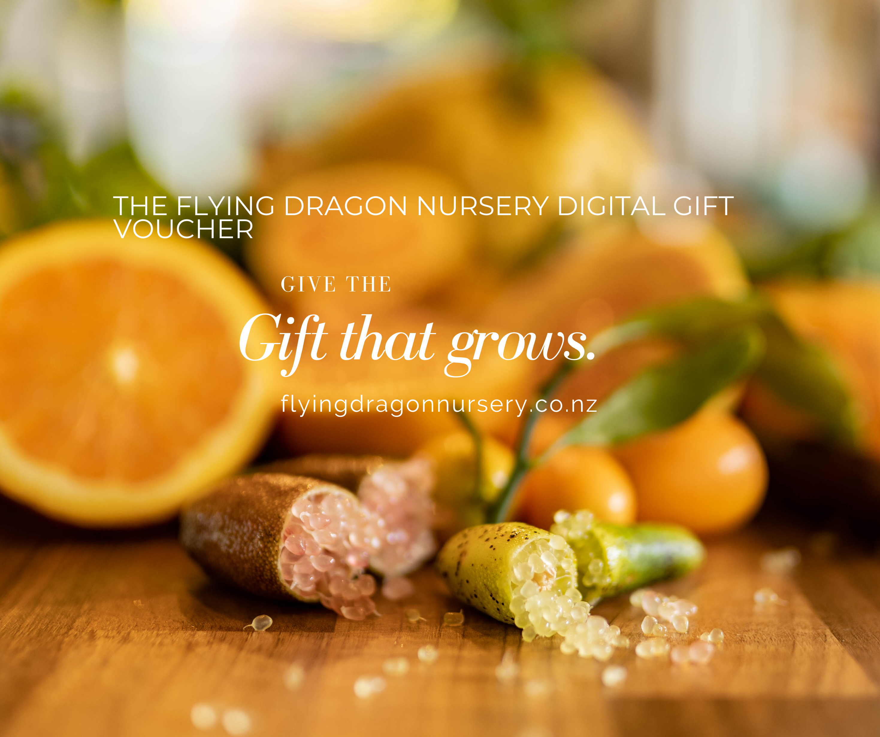 Flying Dragon Nursery Digital Gift Voucher flyingdragonnursery