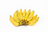 BANANA - PISANG AWAK (DUCASSE) flyingdragonnursery