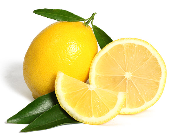 Lemon - Seedless Lisbon - flyingdragonnursery