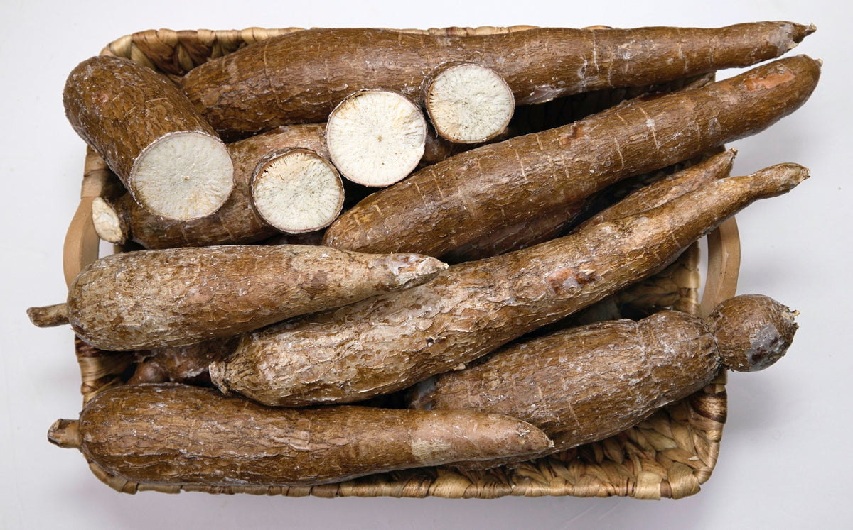 Yuca, Cassava flyingdragonnursery