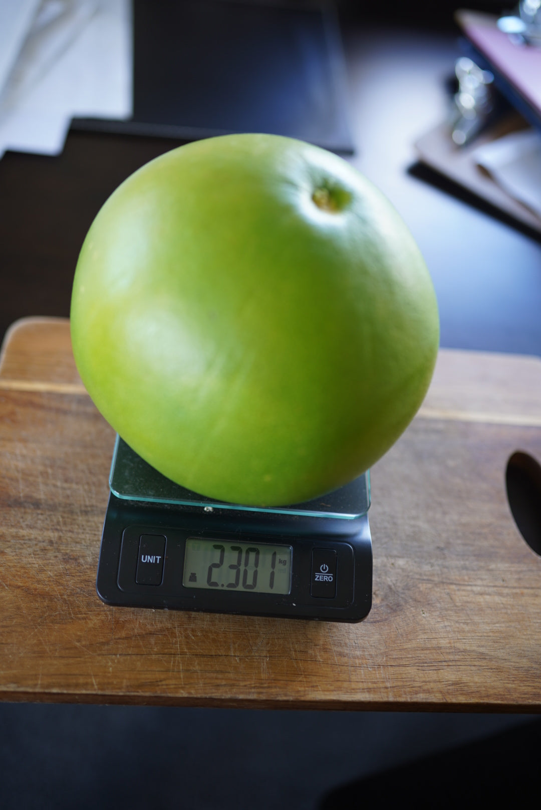 Pomelo - Red Flesh flyingdragonnursery