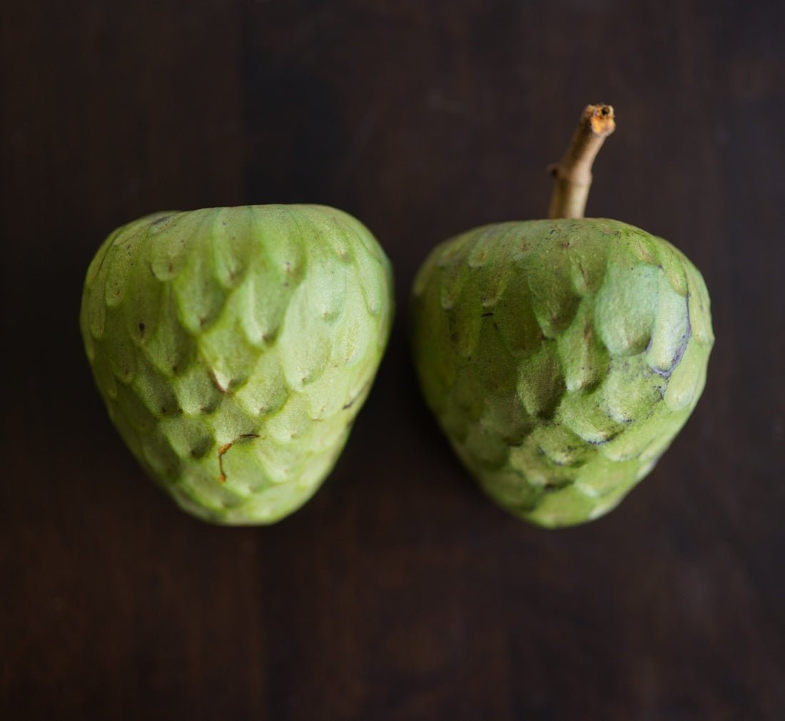 Cherimoya - Reretai - Grafted